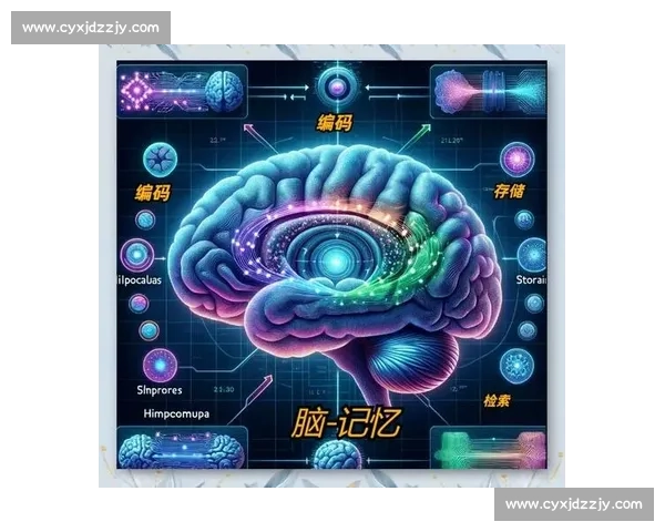 动作记忆训练方法与大脑神经机制的全面研究探索 动作记忆训练方法与大脑神经机制的全面研究探索