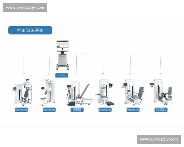 基于运动损伤康复的系统化训练与功能恢复研究 基于运动损伤康复的系统化训练与功能恢复研究