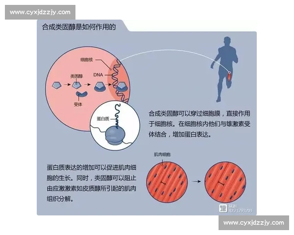 体育心理干预对运动表现提升机制与实践策略的系统研究 体育心理干预对运动表现提升机制与实践策略的系统研究